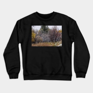 First Snowfall. Crewneck Sweatshirt